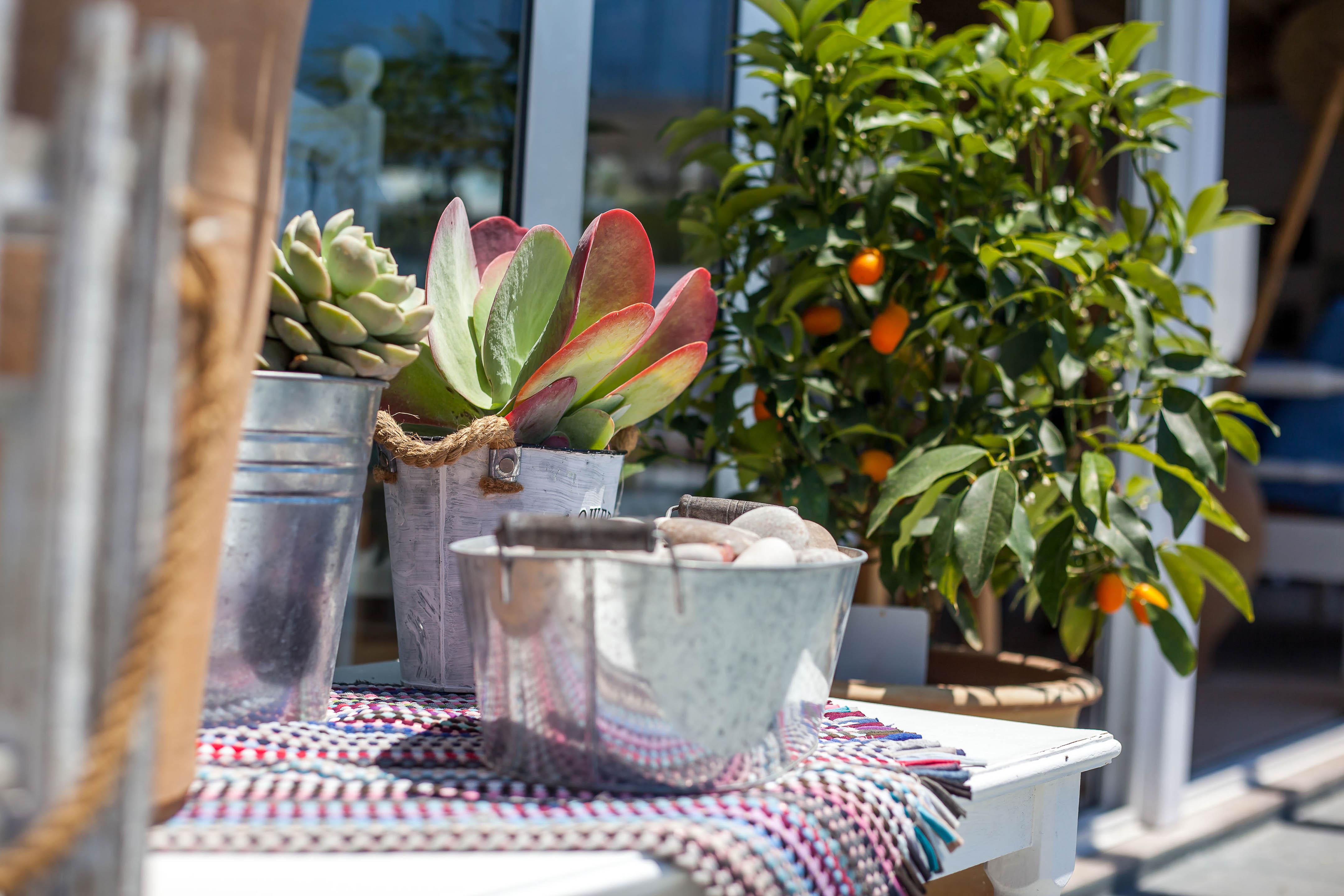 Tinas Plus Hotel Aparthotel Faliraki